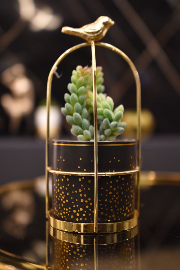 decorative plant piece